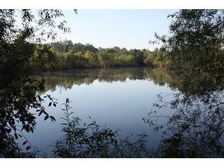 Property photo 55 - ILLINOIS LAND AUCTION - 705+/- ACRES OFFERED IN 16 TRACTS IN EDWARDS COUNTY, ILLINOIS